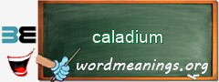 WordMeaning blackboard for caladium